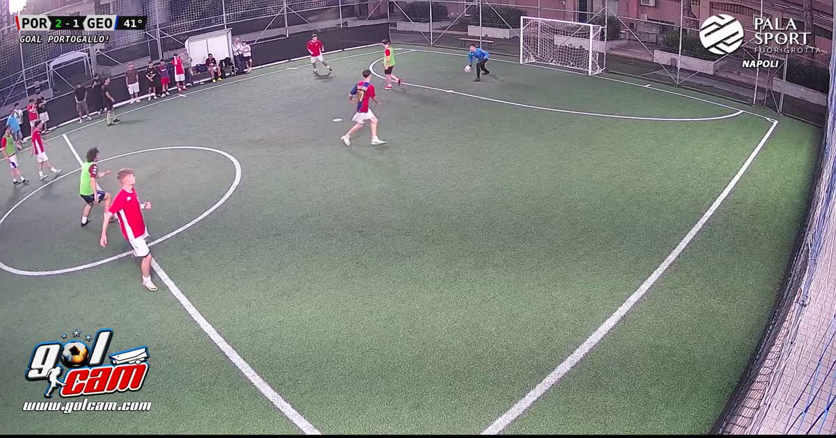 Gol georgia