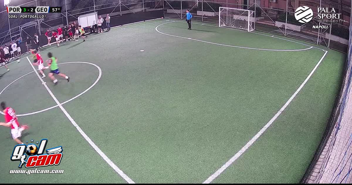 Gol georgia