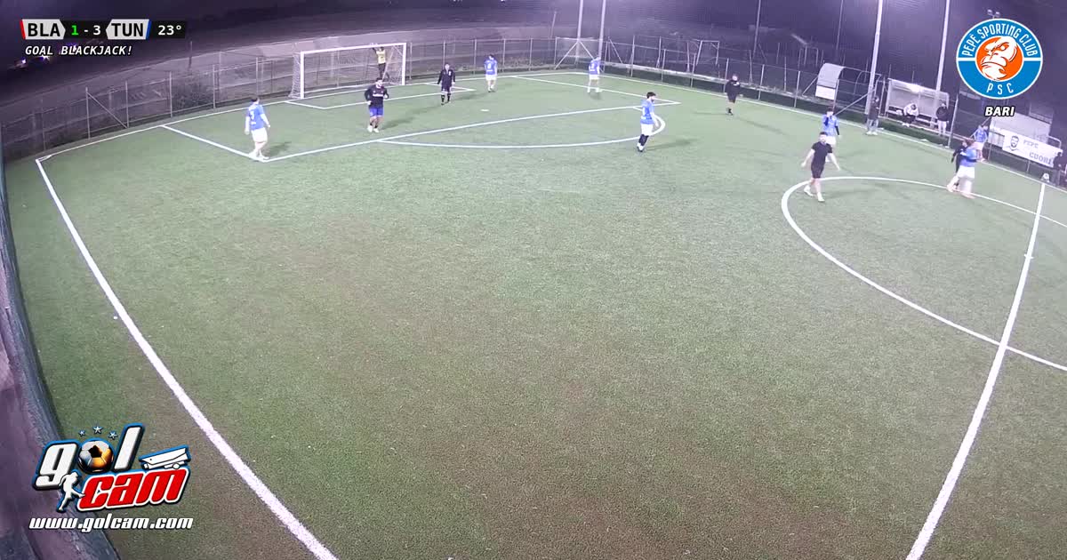 Goal 1