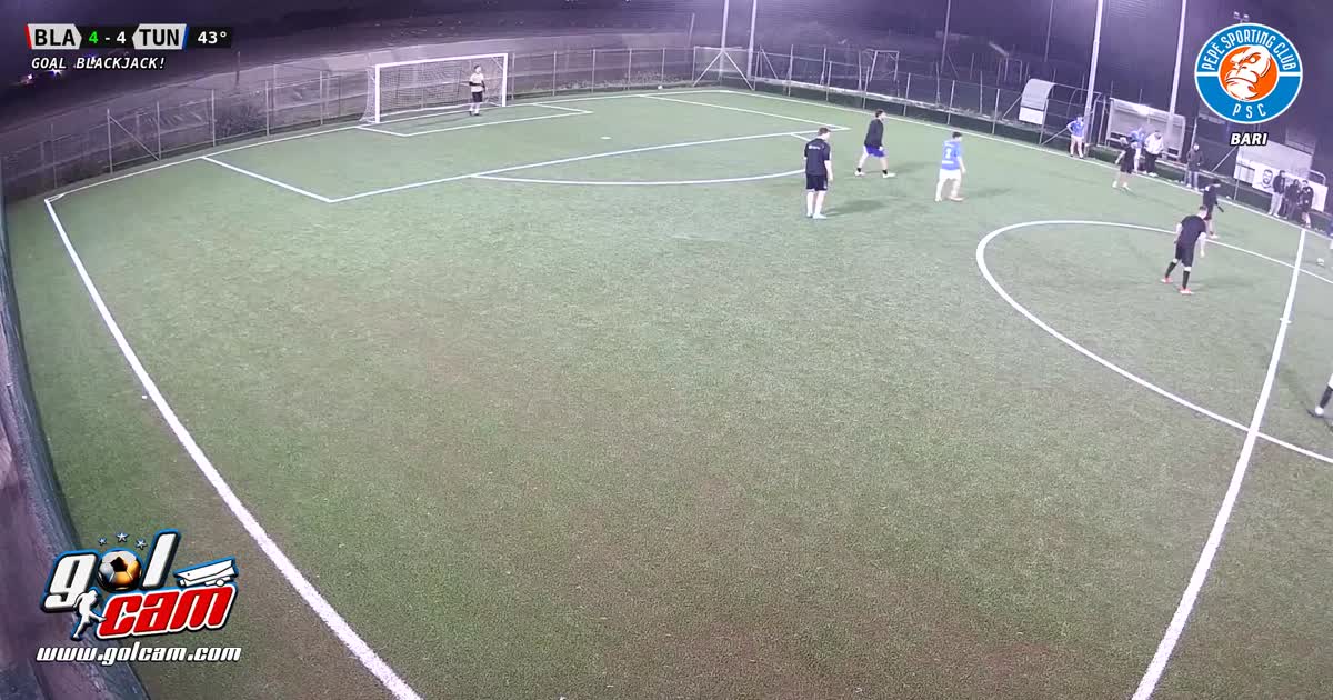 Goal 4