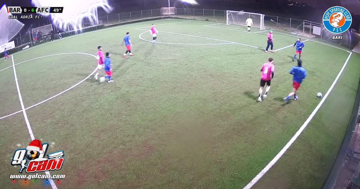 goal 5