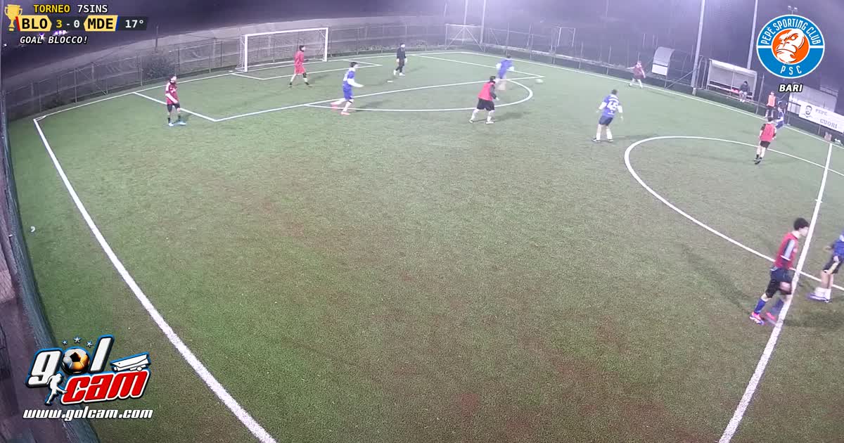 Tiro al volo