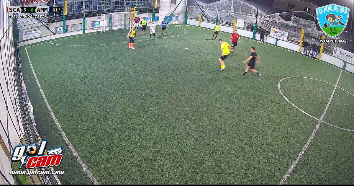 Maurino show