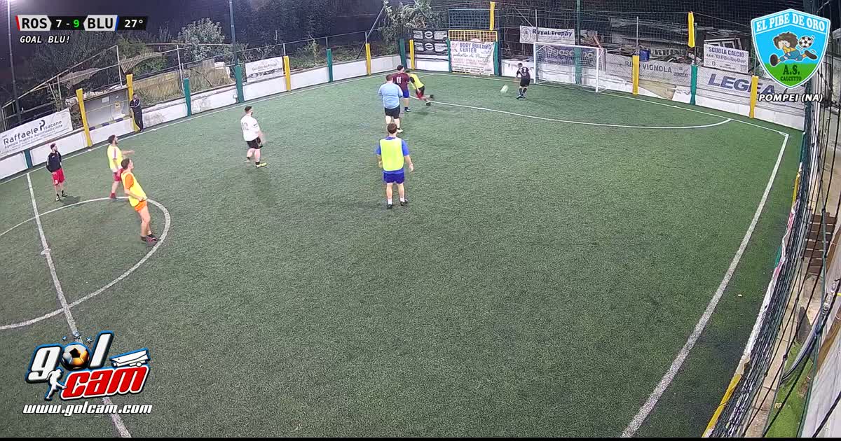 Goal16