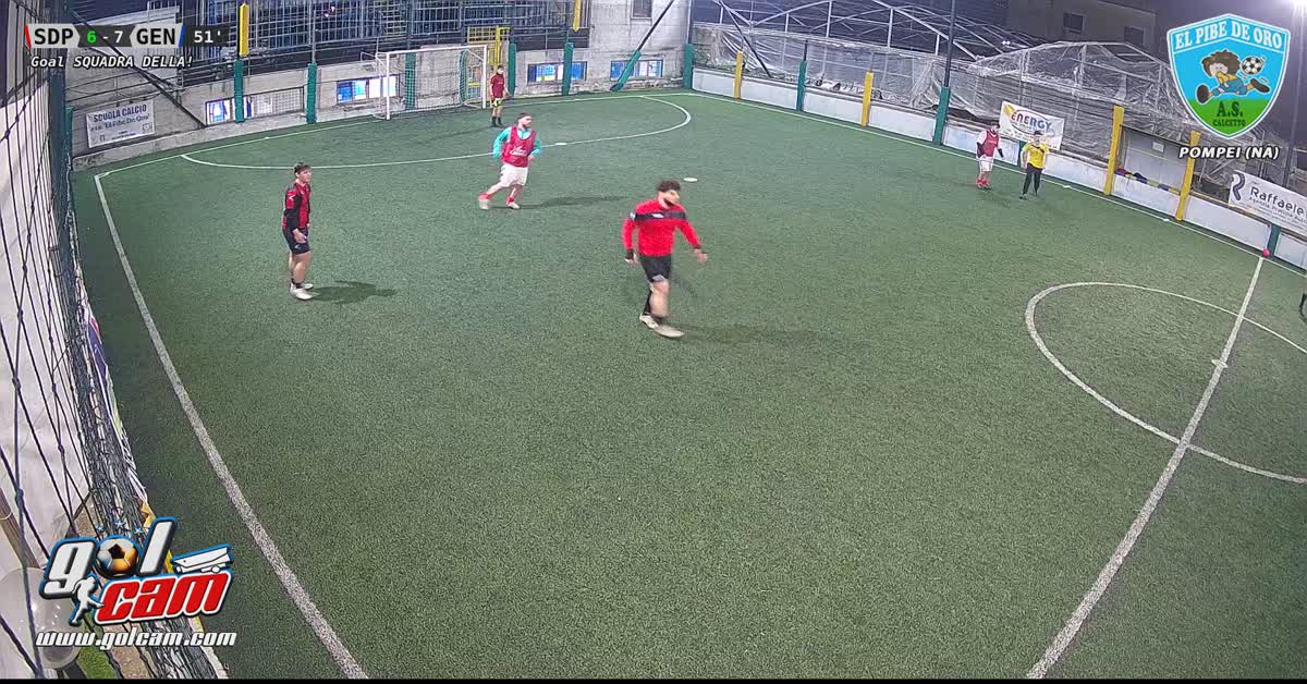 Asse cobra pitone