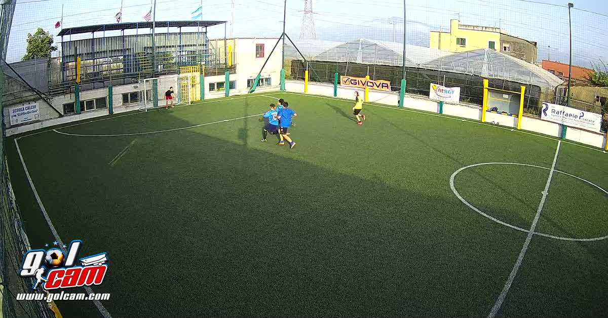 Gol ale