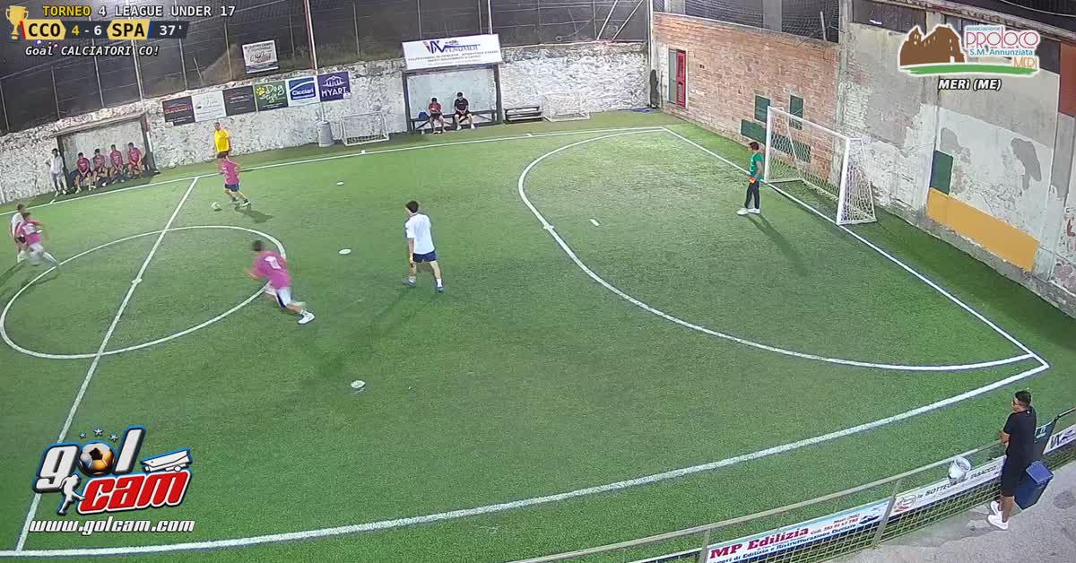 Gol-gol
