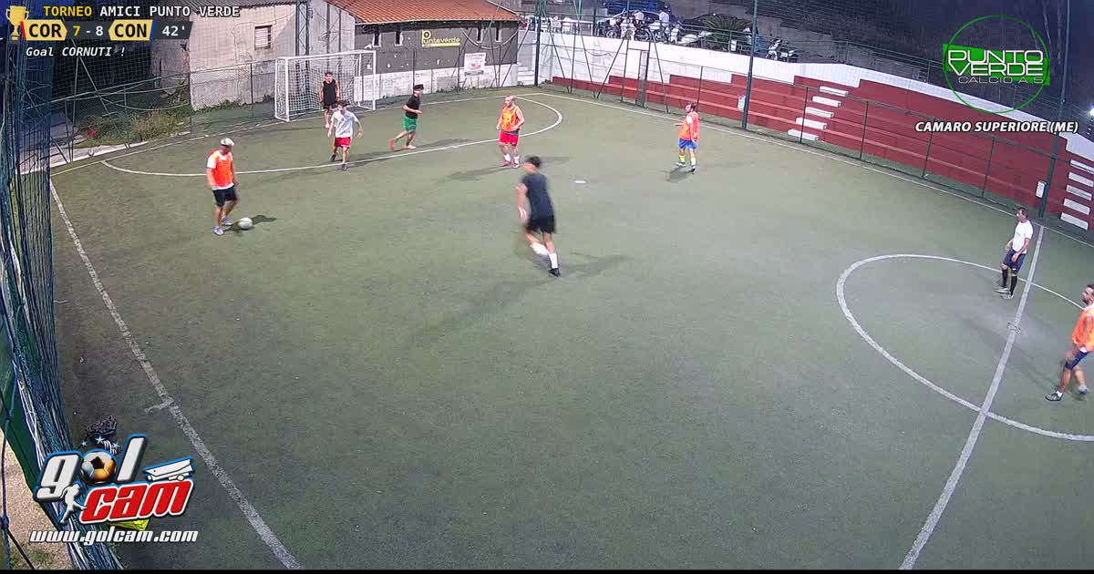 Goaldauori