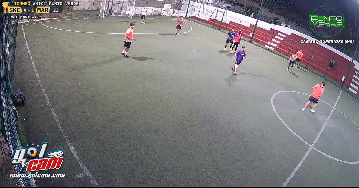 Gol leo