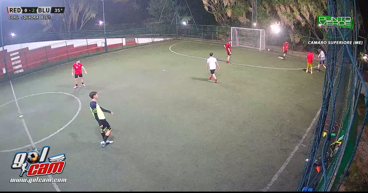 Tiro al volo