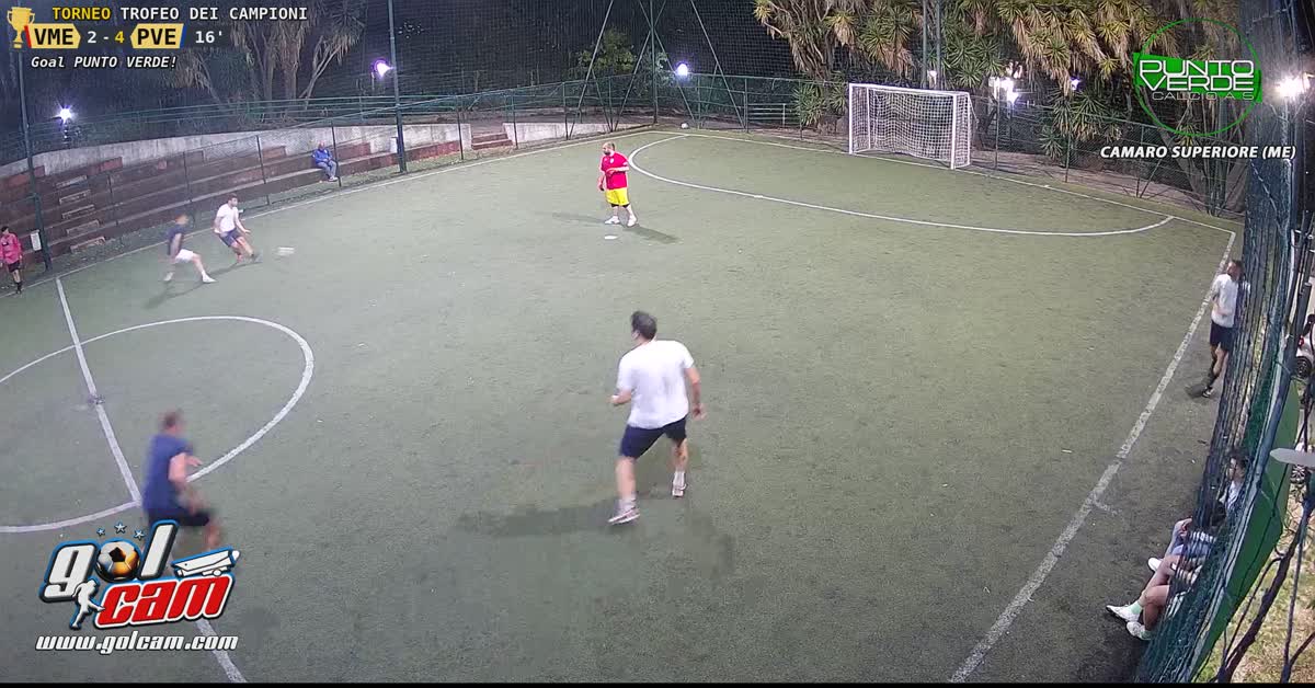 Gol merlino