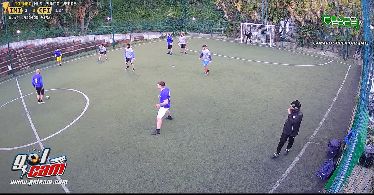 Gol pala