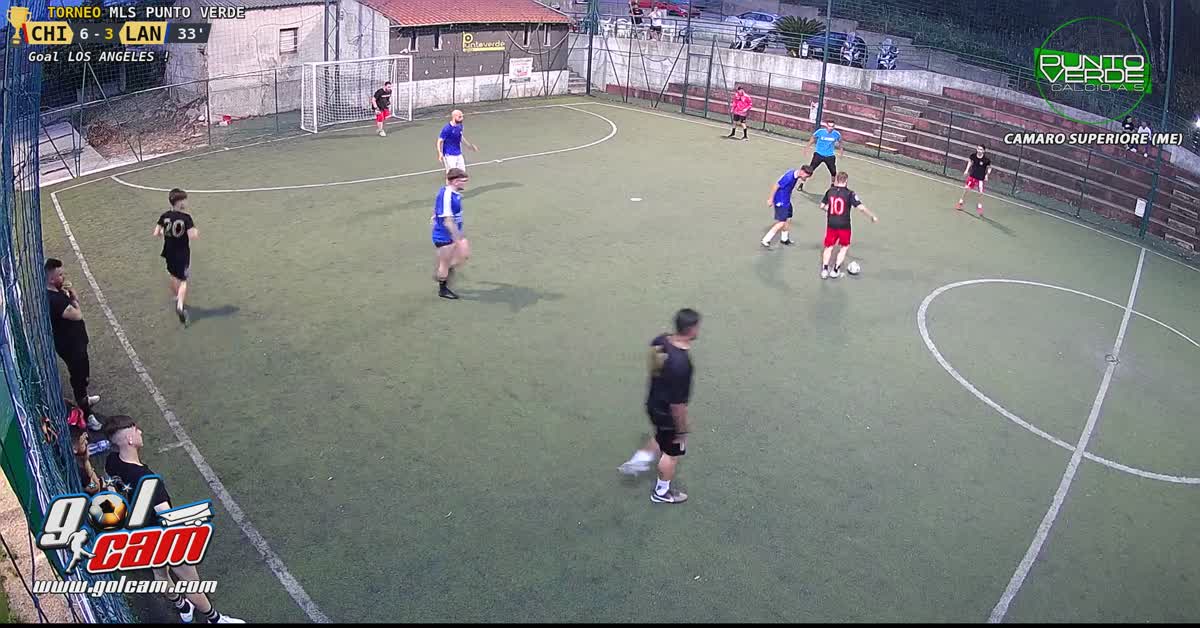 Gol vasi