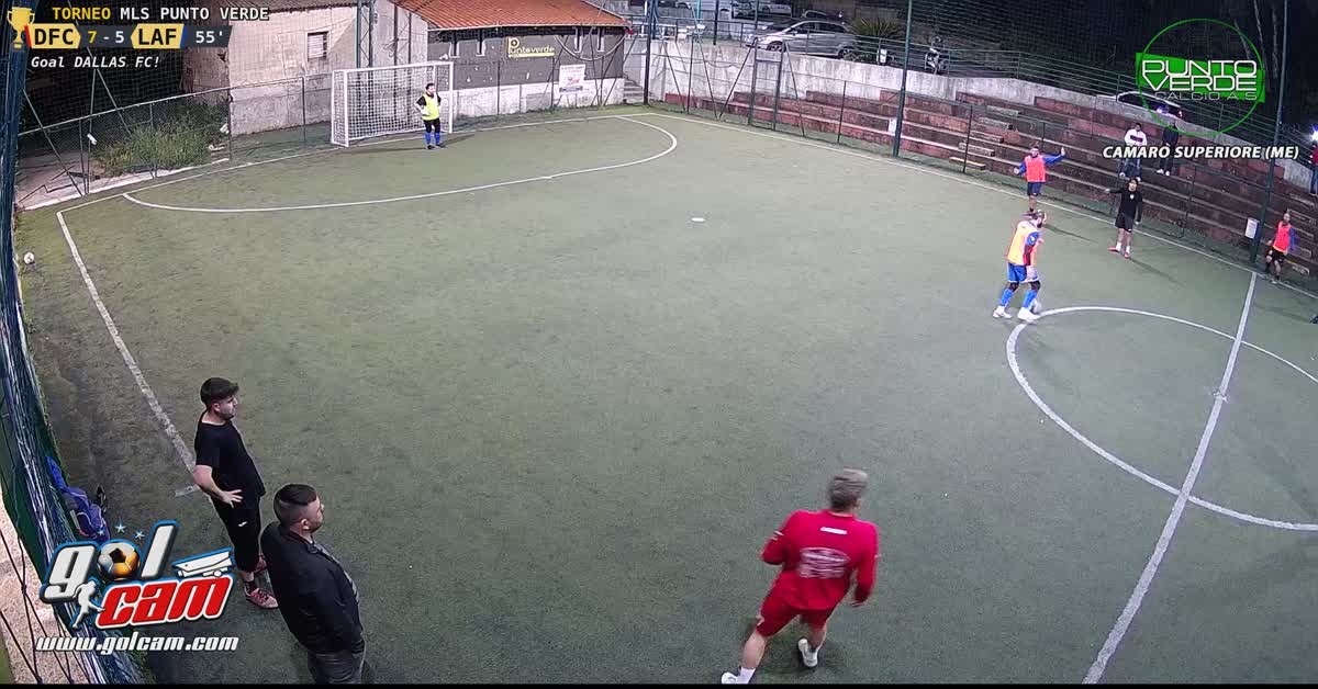 Gol merlino