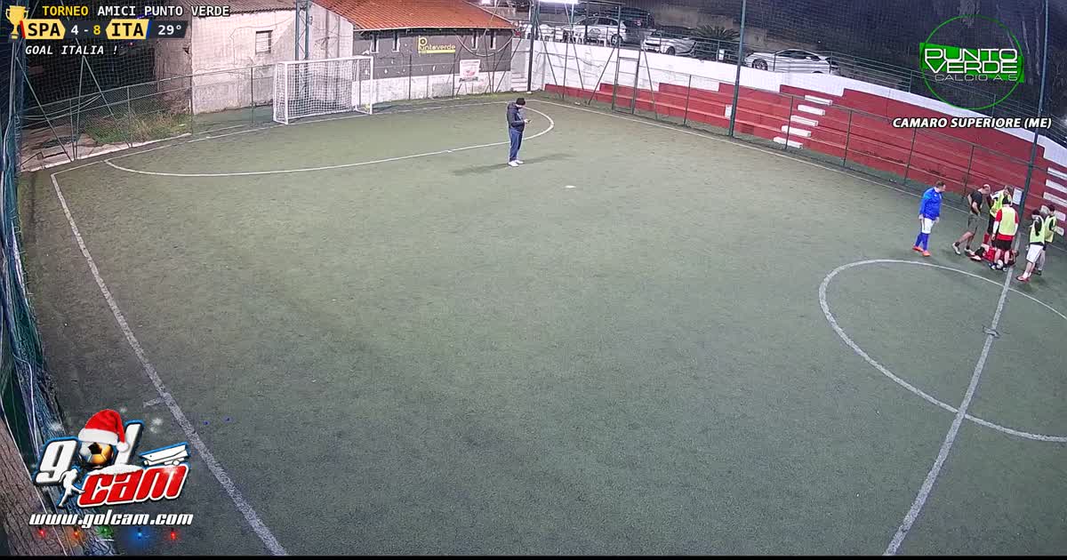 Il giaguaro