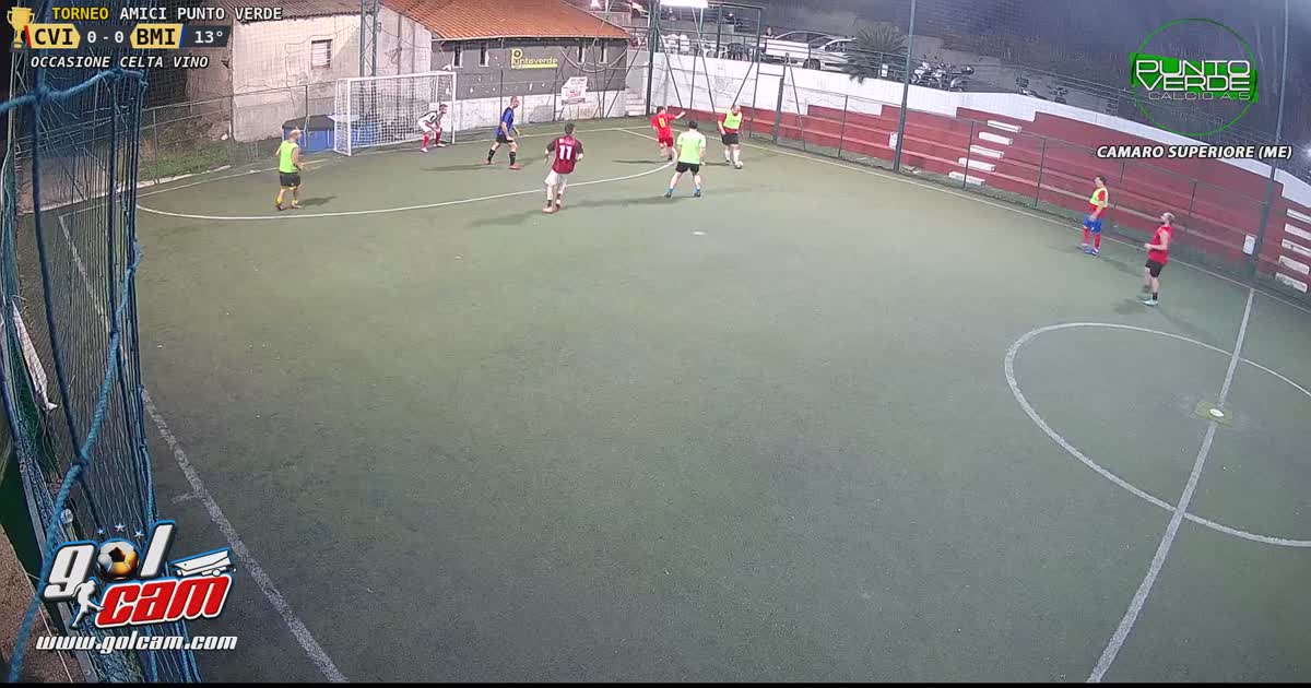 Parata Istintiva