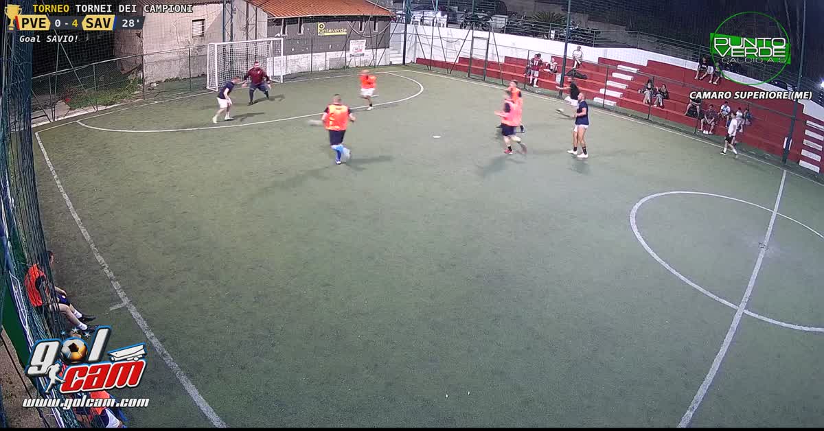 Gol merlino