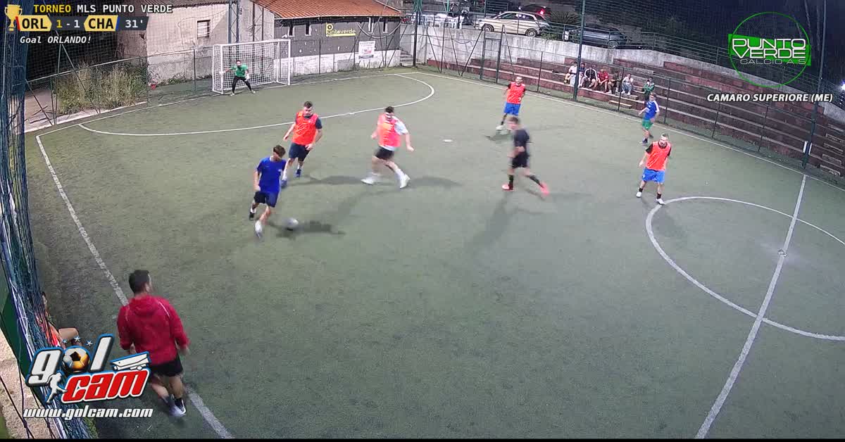 Gol Paladino