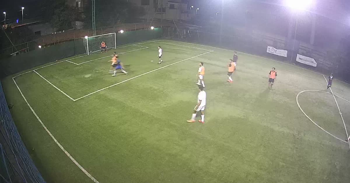 Goal 1 Ribes