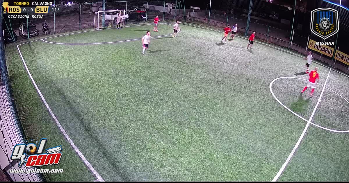 08-11-24 Palo 1