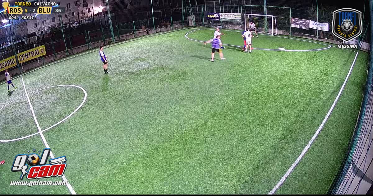 Gol al volo