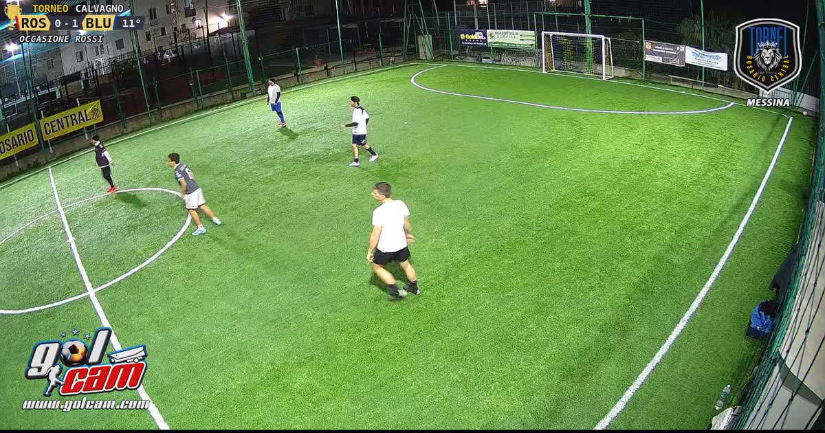 25-11-24 Palo 1
