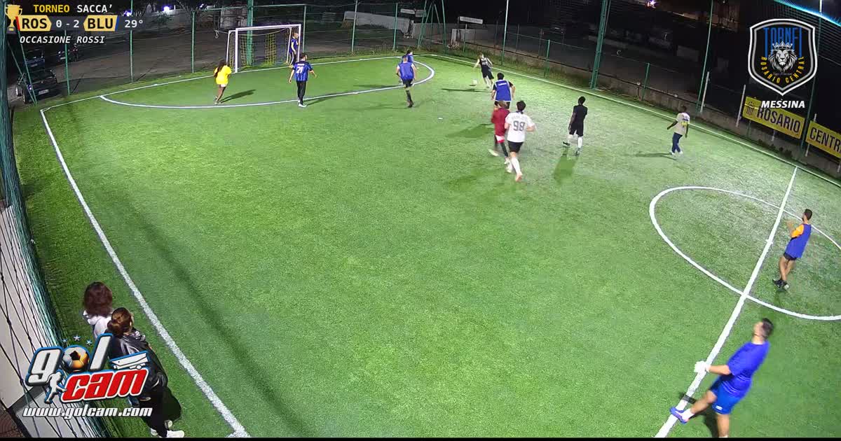 Quasi goal