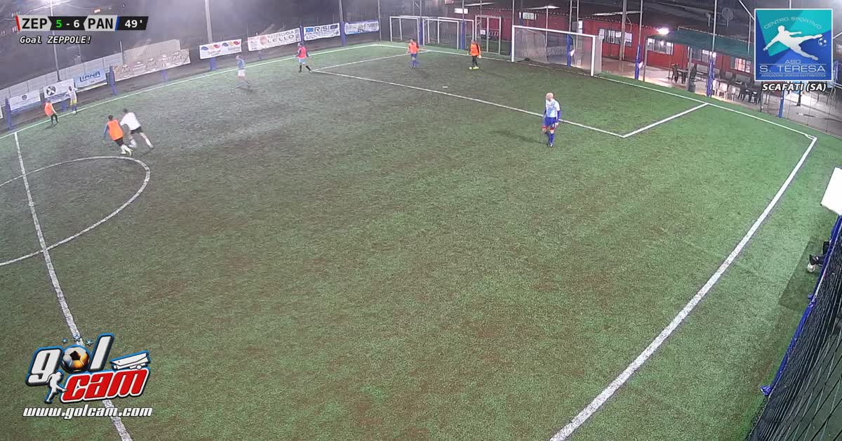 Goal 1