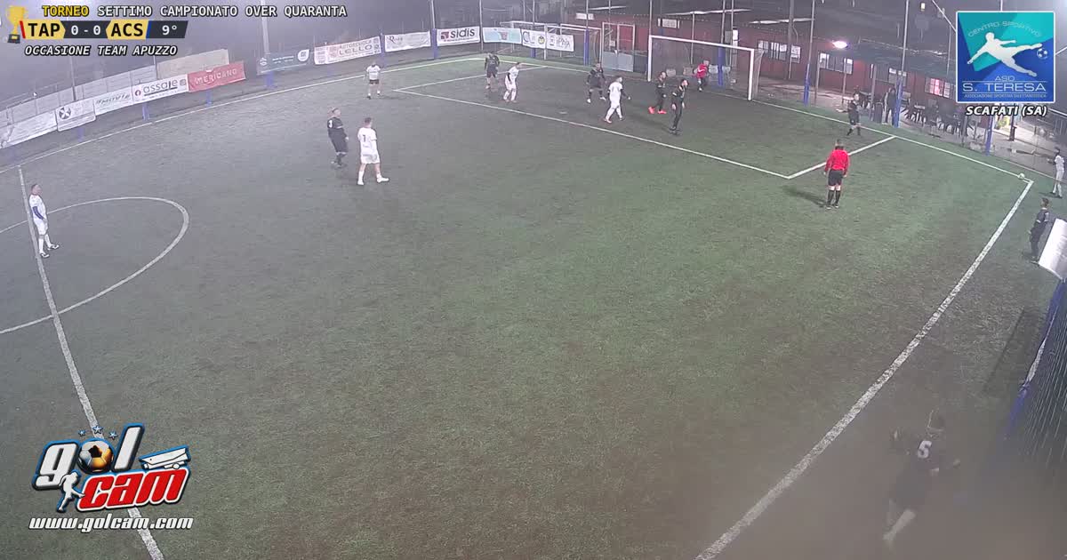 Tiro al volo