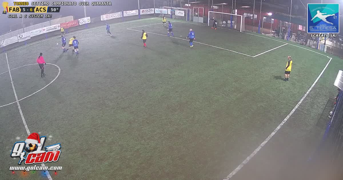 Euro goal 