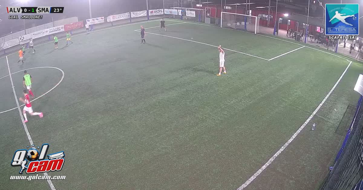 Goal 1