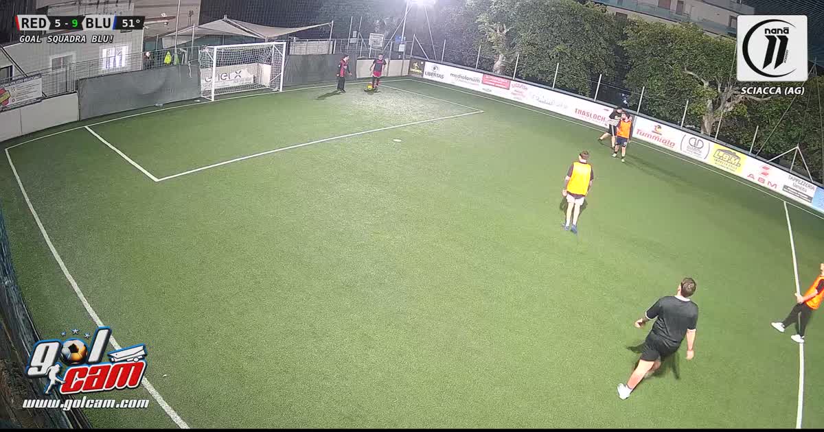 Goal sreks