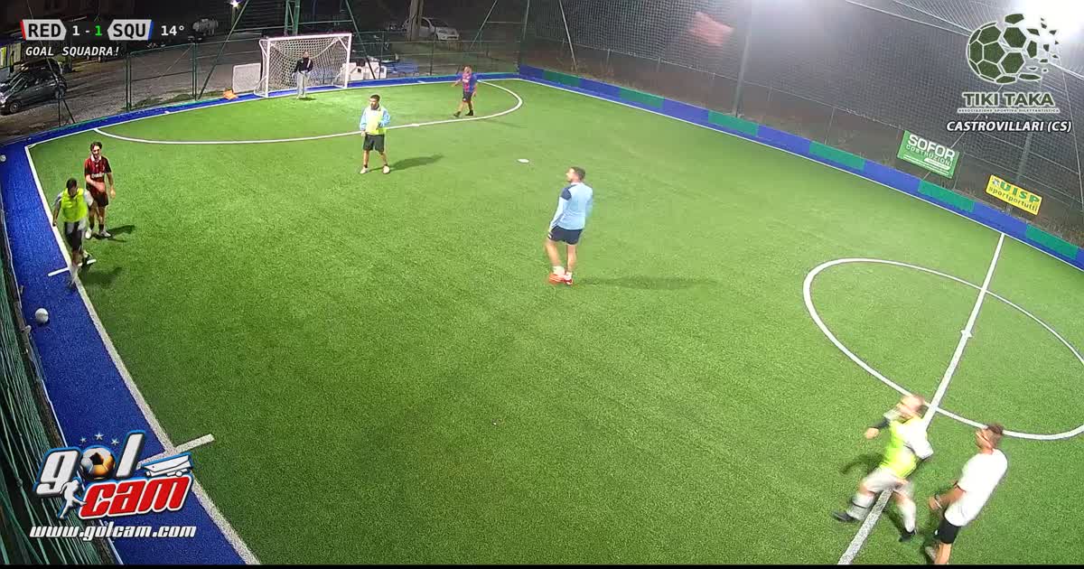 GOAL13
