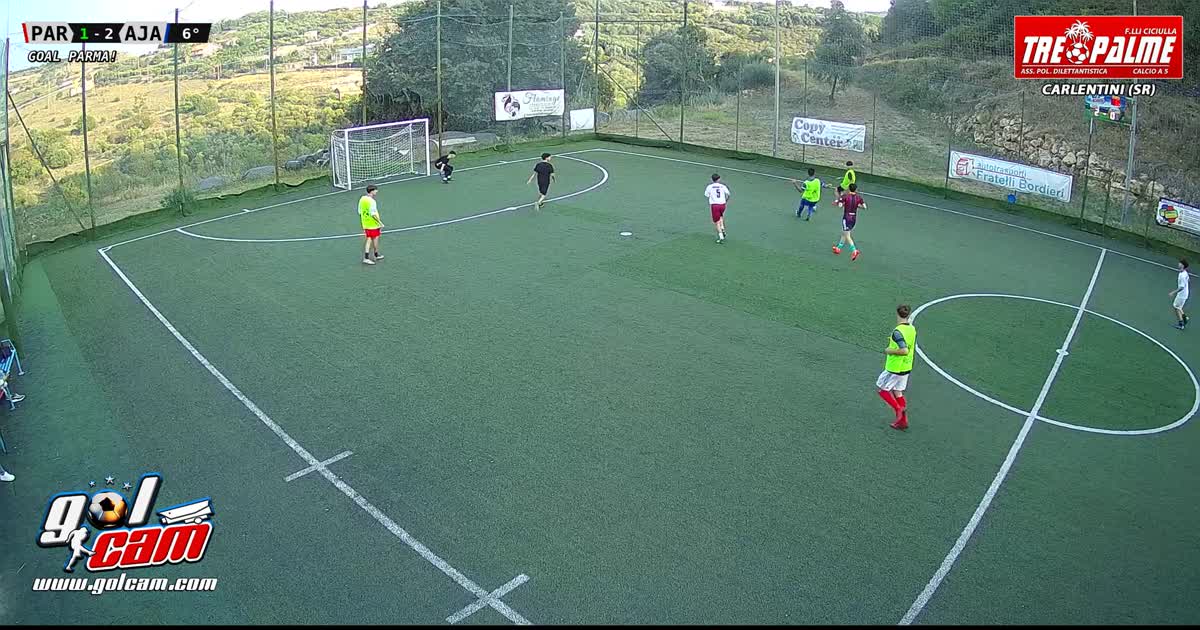 Goal #20