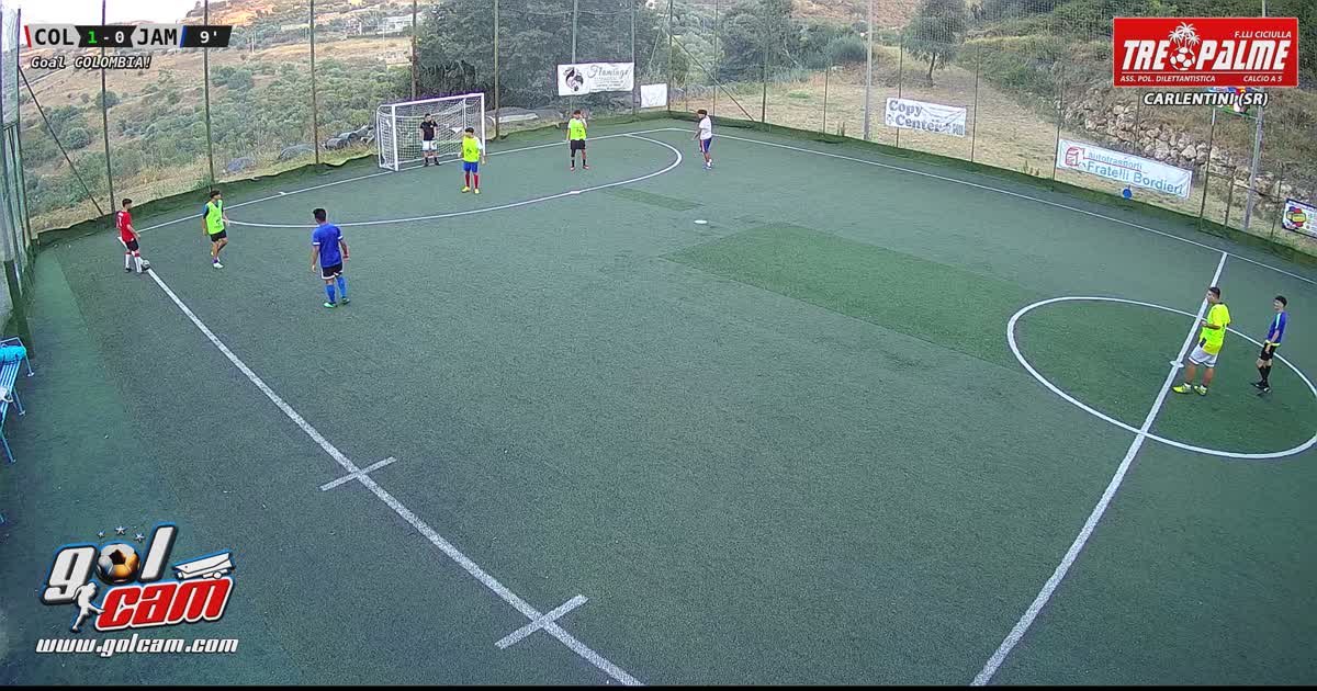 Goal #17