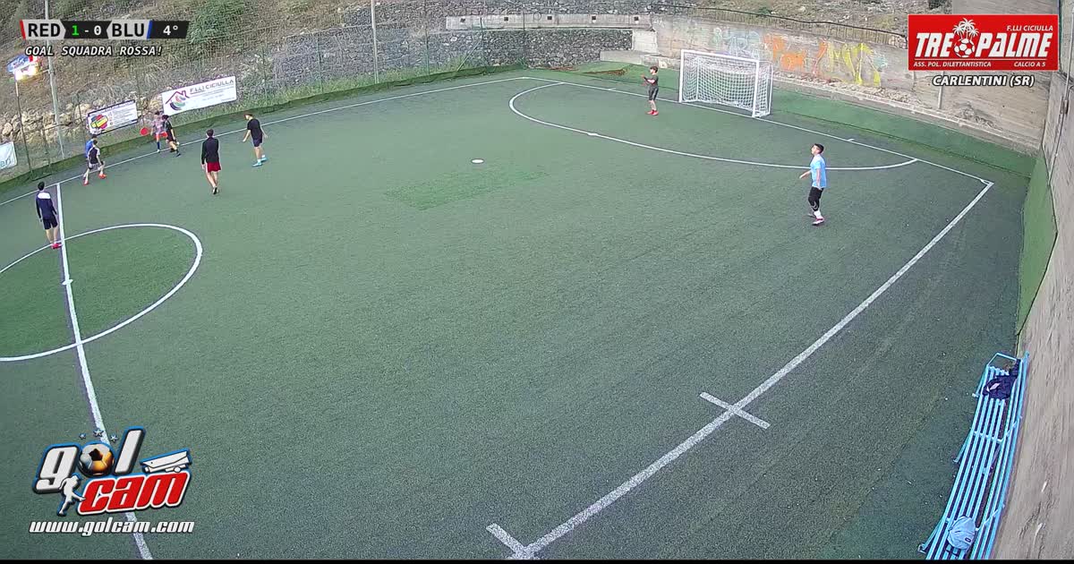 Goal 1