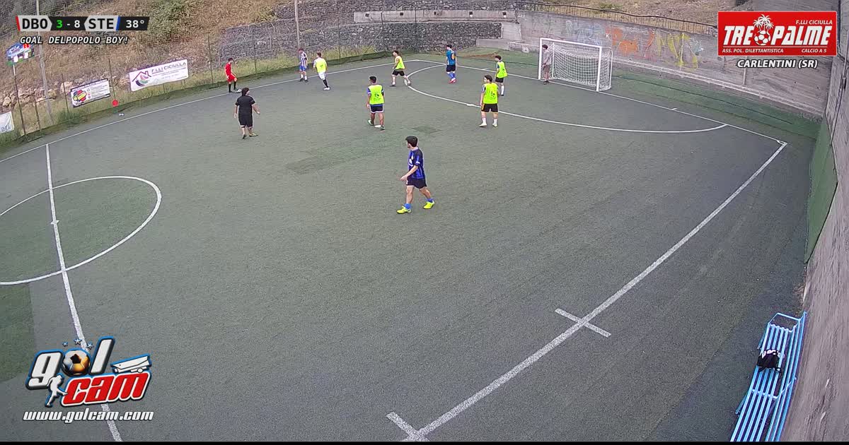 Goal #29