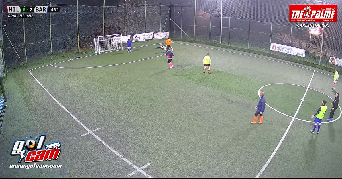 Goal 10