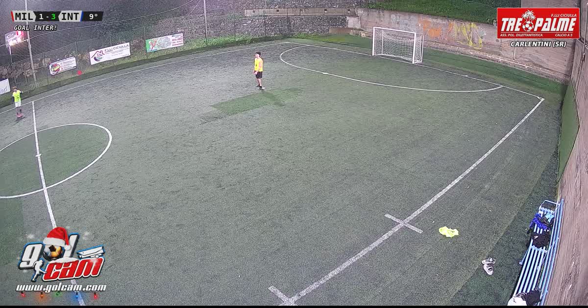 Gol lebe