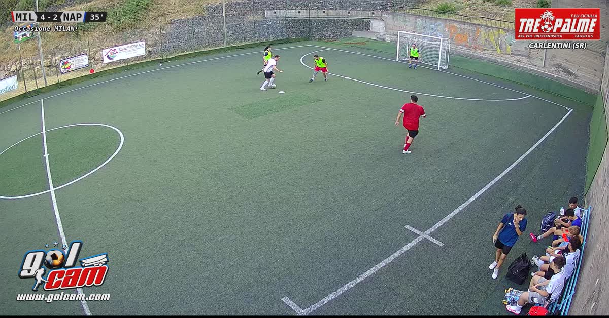 Palo in corsa 2