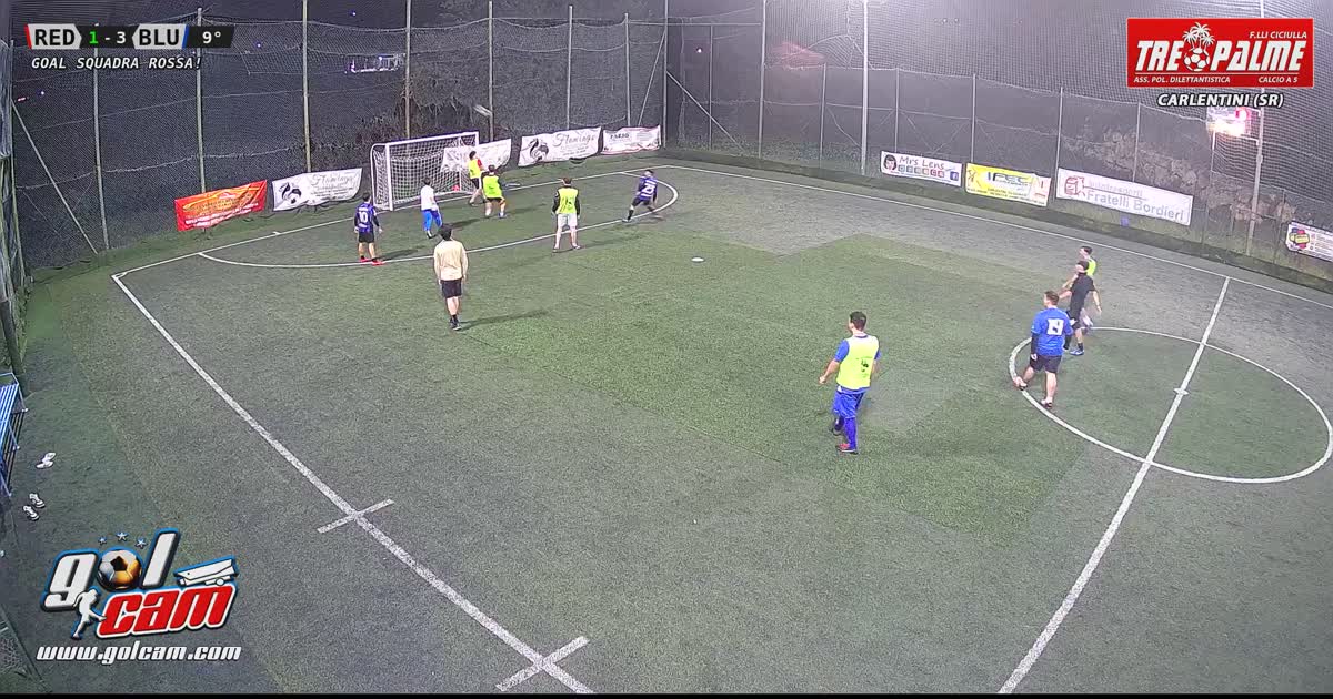 Gol lebe