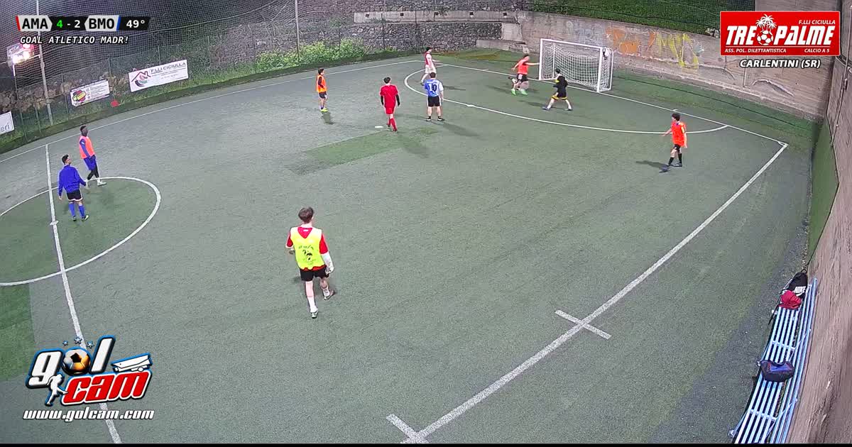 Goal #28