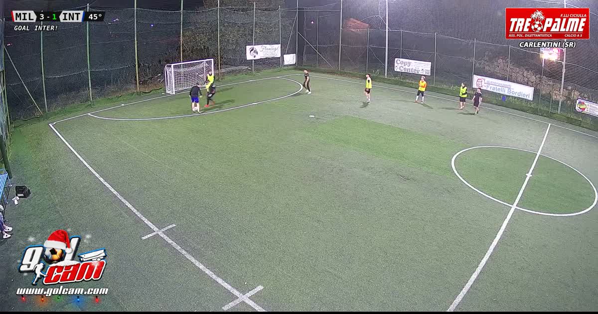 Gol 3 palme