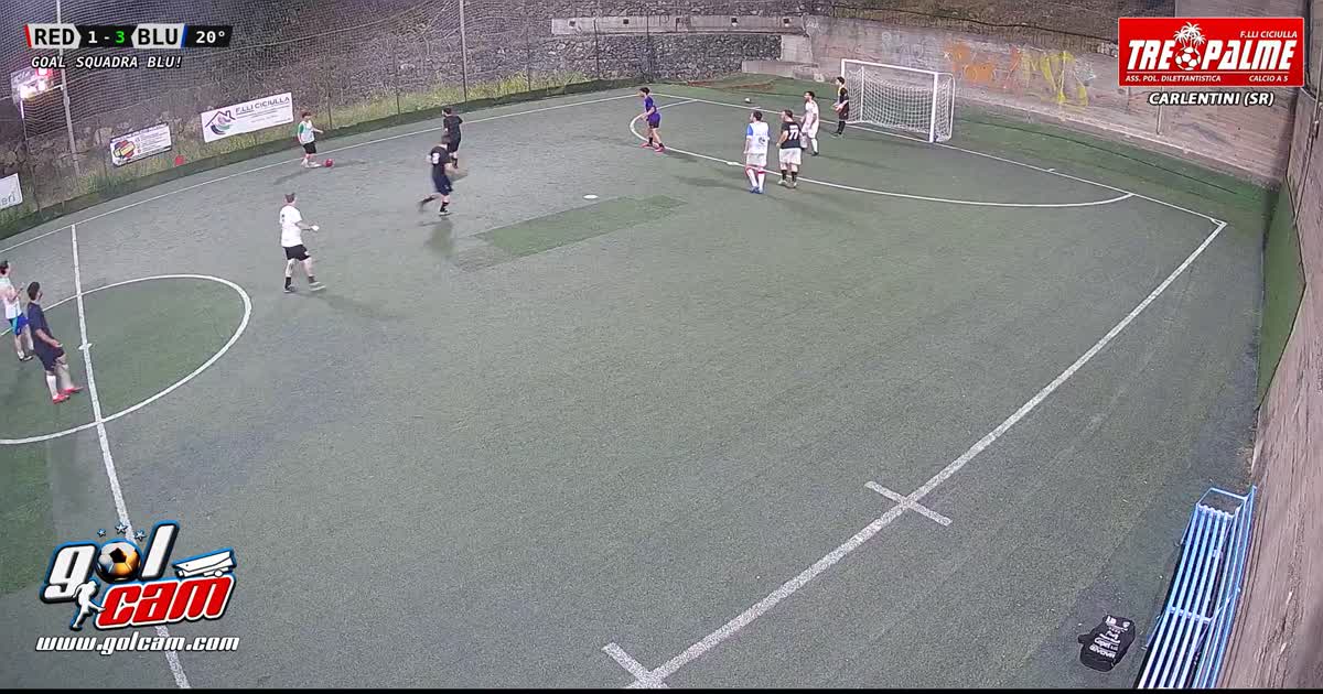 Virgonaa