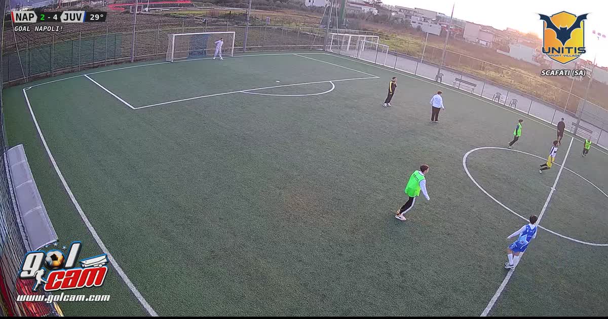 Goal fico