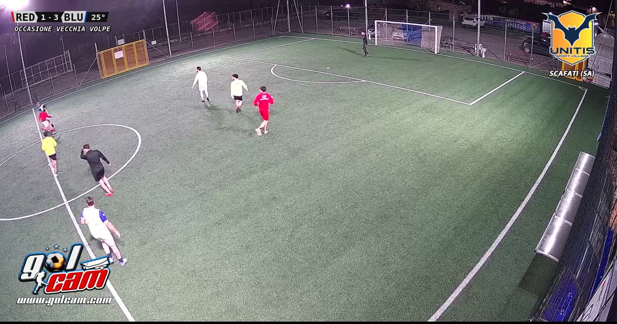 Goal manu2