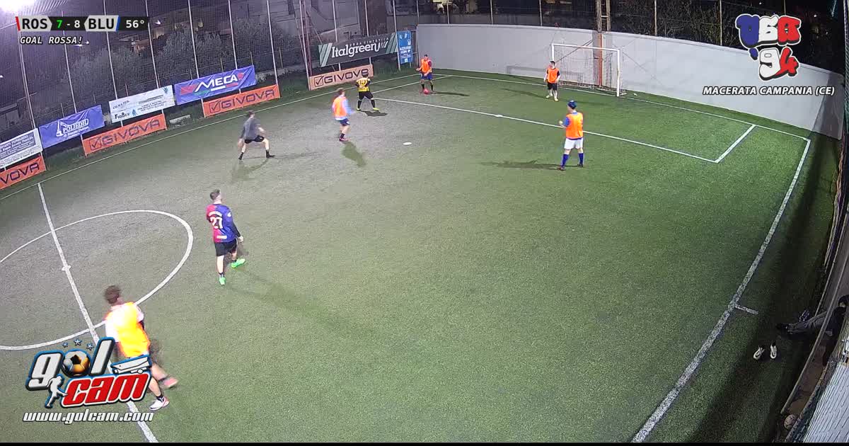 Goal 9