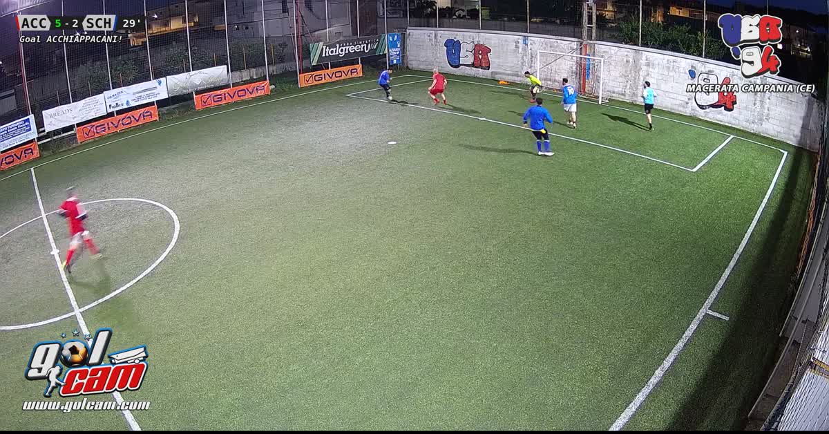 Gol leo