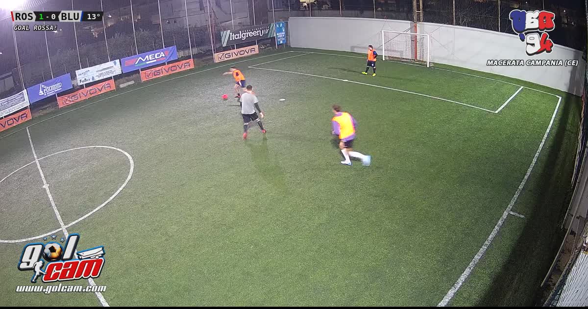 Goal 10