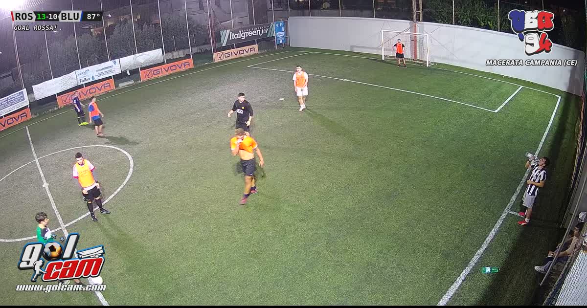 Goal 7